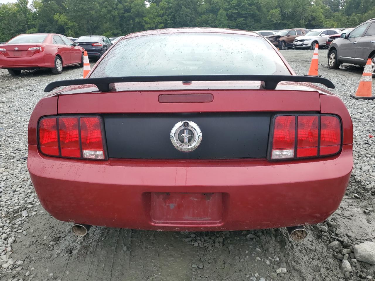 2009 Ford Mustang VIN: 1ZVHT80N095138610 Lot: 64232354