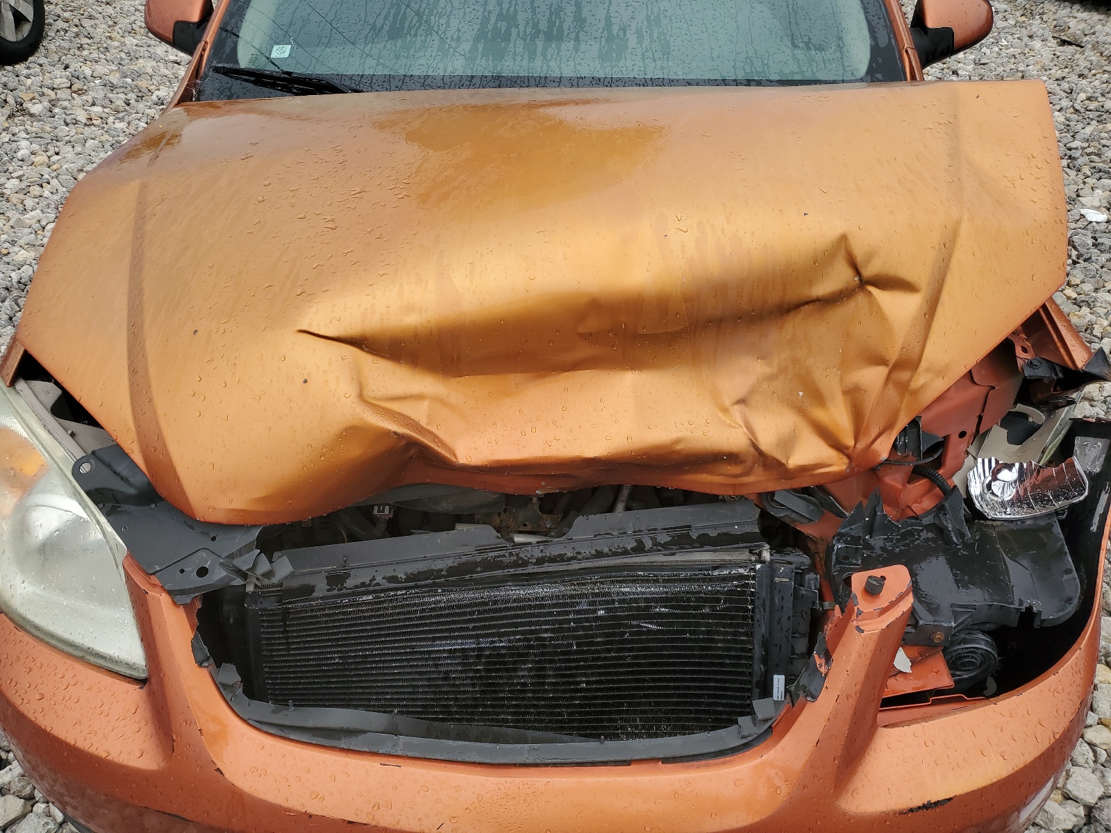 1G1AL15F367612619 2006 Chevrolet Cobalt Lt