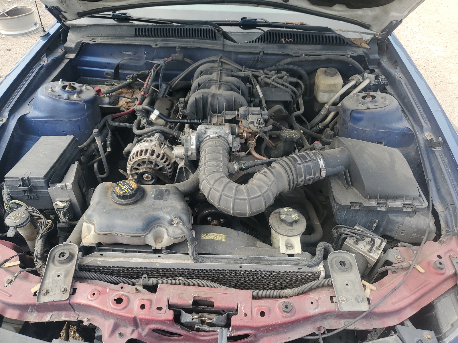 1ZVFT80N375229391 2007 Ford Mustang