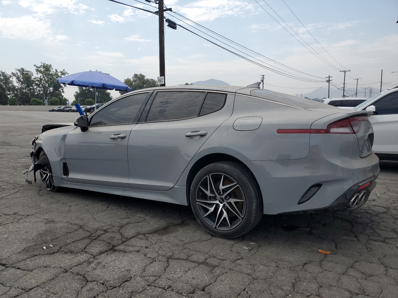 2022 Kia Stinger Gt Line vin: KNAE35LD3N6111989