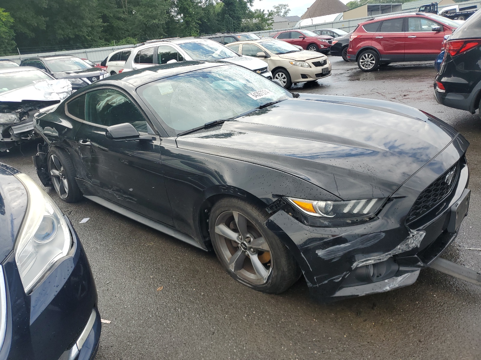 1FA6P8AM2G5200757 2016 Ford Mustang