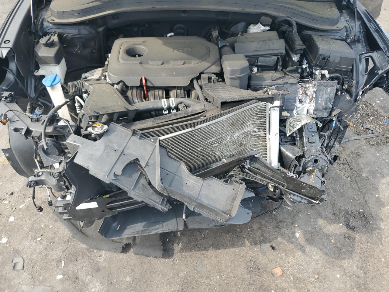 2020 Hyundai Santa Fe Limited VIN: 5NMS5CAD1LH214089 Lot: 63360234