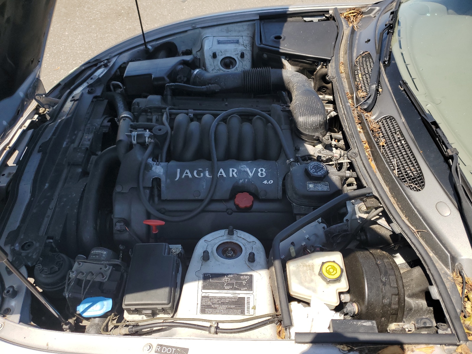 SAJDA41C22NA24177 2002 Jaguar Xk8