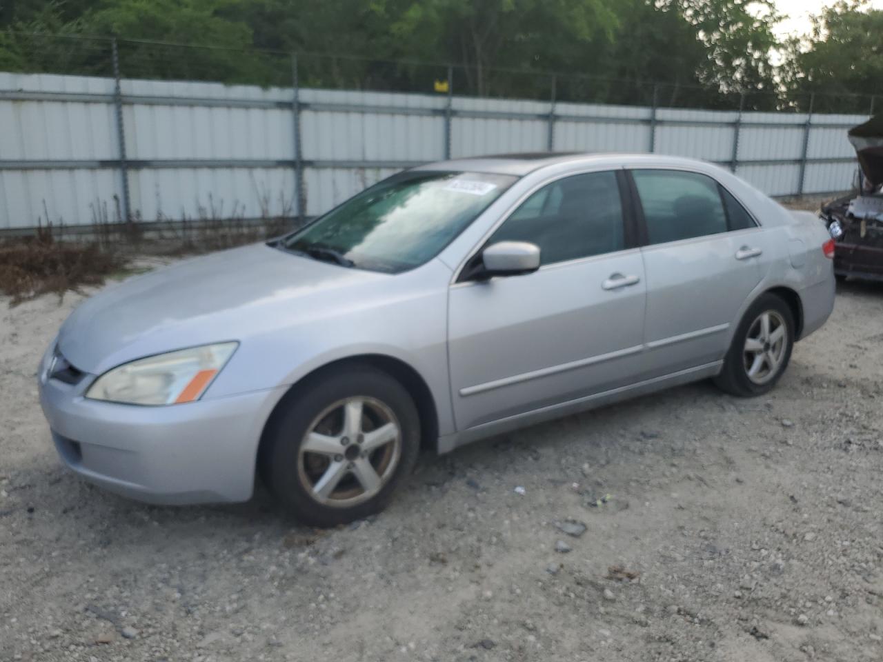 2004 Honda Accord Ex VIN: 1HGCM56874A052481 Lot: 62032684