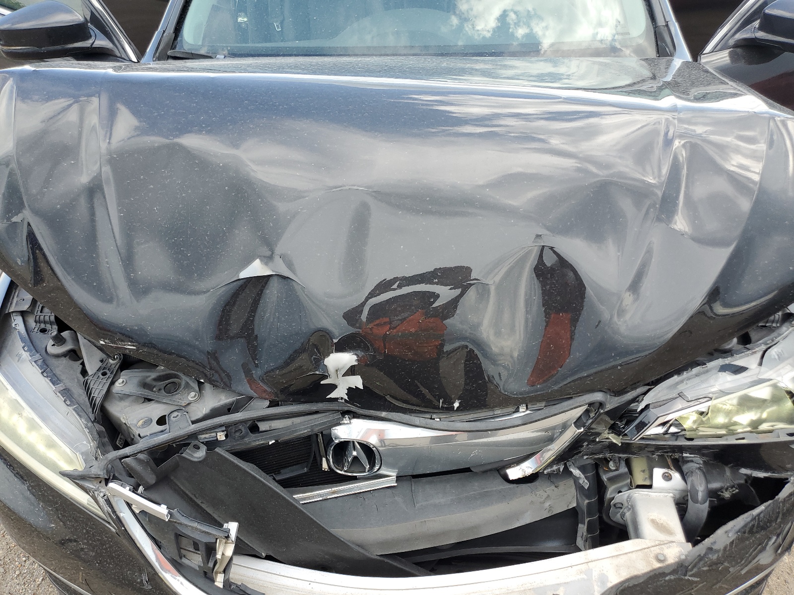 19UUB2F52FA017736 2015 Acura Tlx Tech