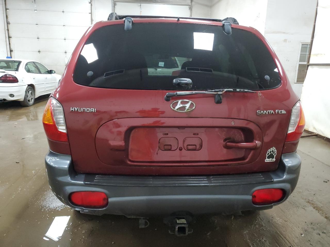 2004 Hyundai Santa Fe Gl VIN: KM8SB12B44U646059 Lot: 64770184