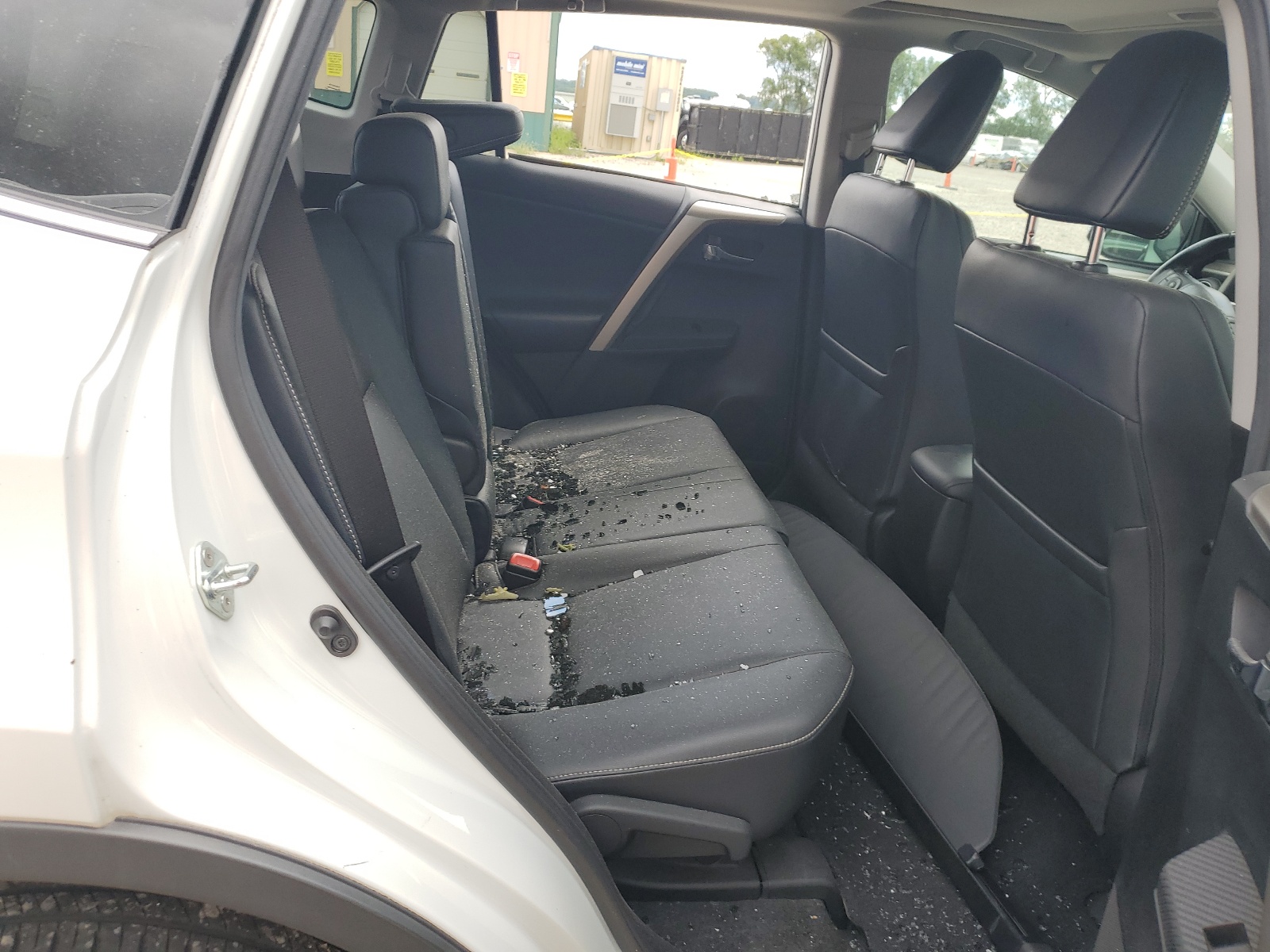 2T3DFREV1FW255253 2015 Toyota Rav4 Limited