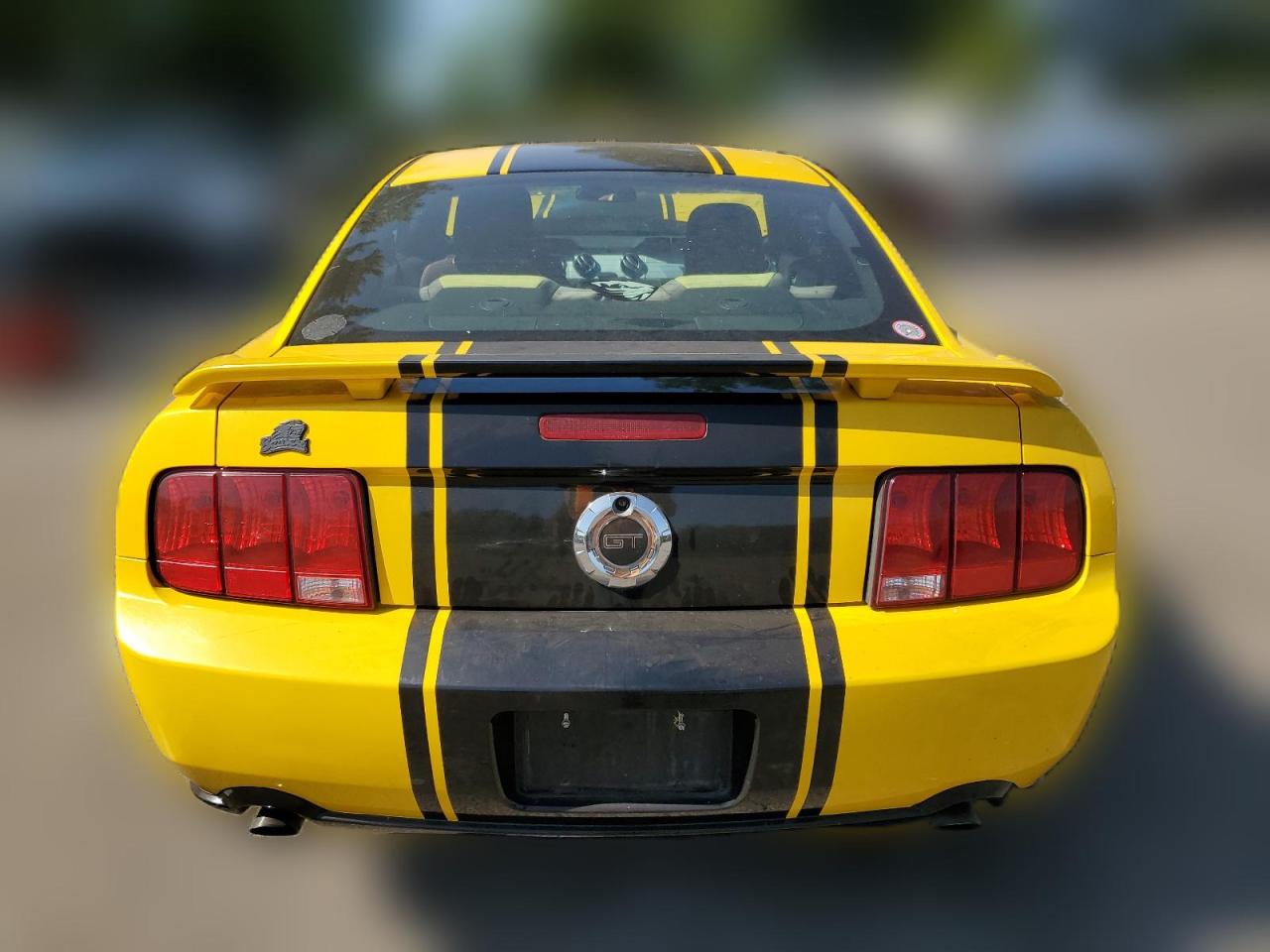 2006 Ford Mustang Gt VIN: 1ZVHT82H165101150 Lot: 62867714