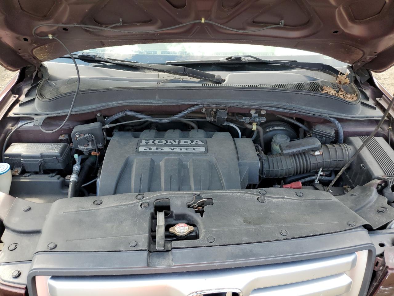 2007 Honda Pilot Lx VIN: 5FNYF18147B031753 Lot: 64321654