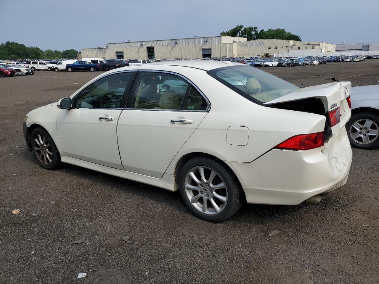2007 Acura Tsx VIN: JH4CL96847C019244 Lot: 61922214