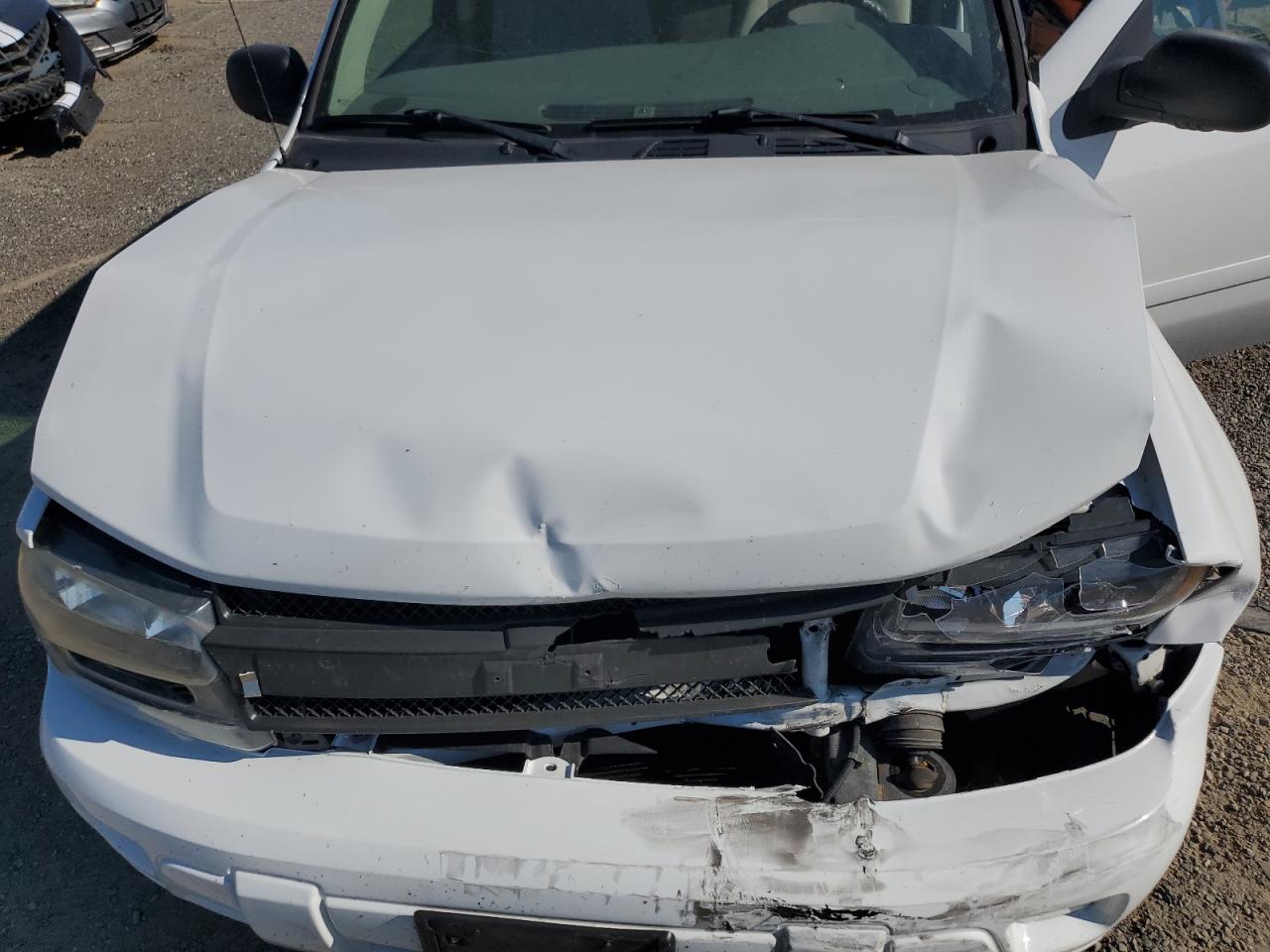 2008 Chevrolet Trailblazer Ls VIN: 1GNDT13S182232304 Lot: 61852314