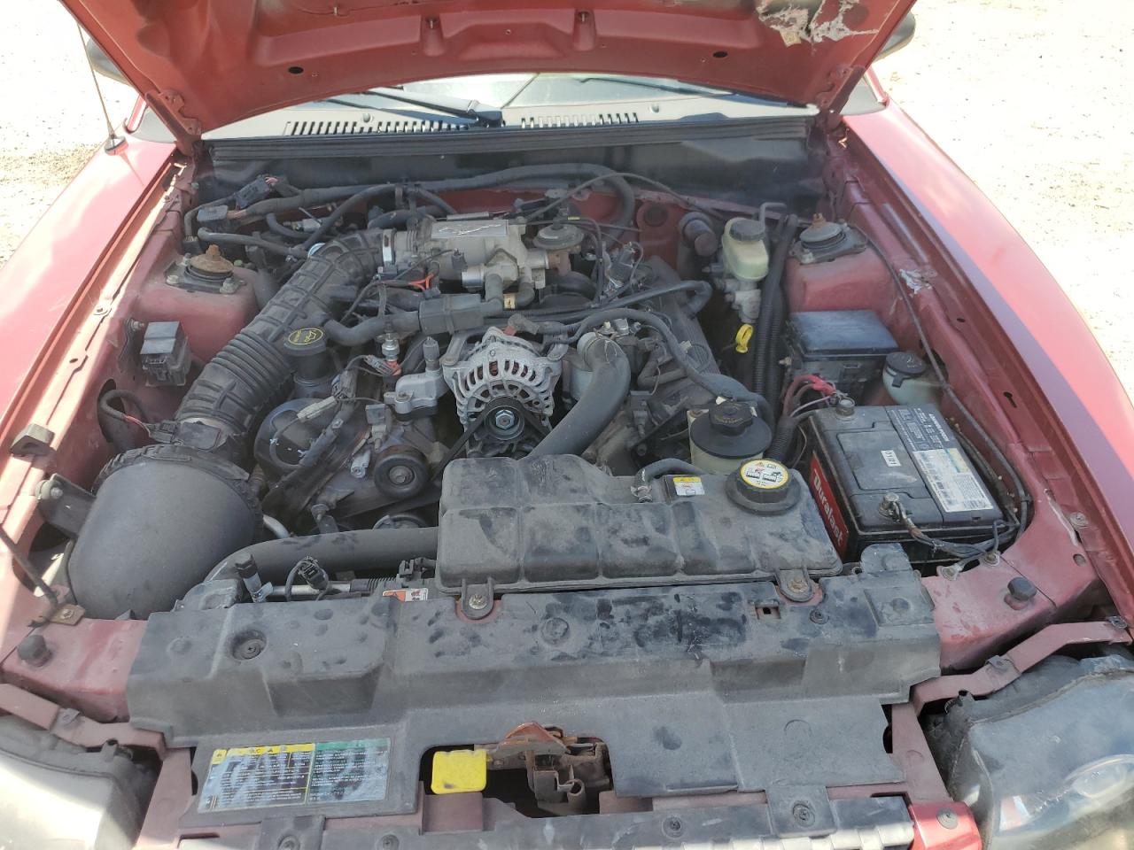 2003 Ford Mustang Gt VIN: 1FAFP42X03F307439 Lot: 63821674