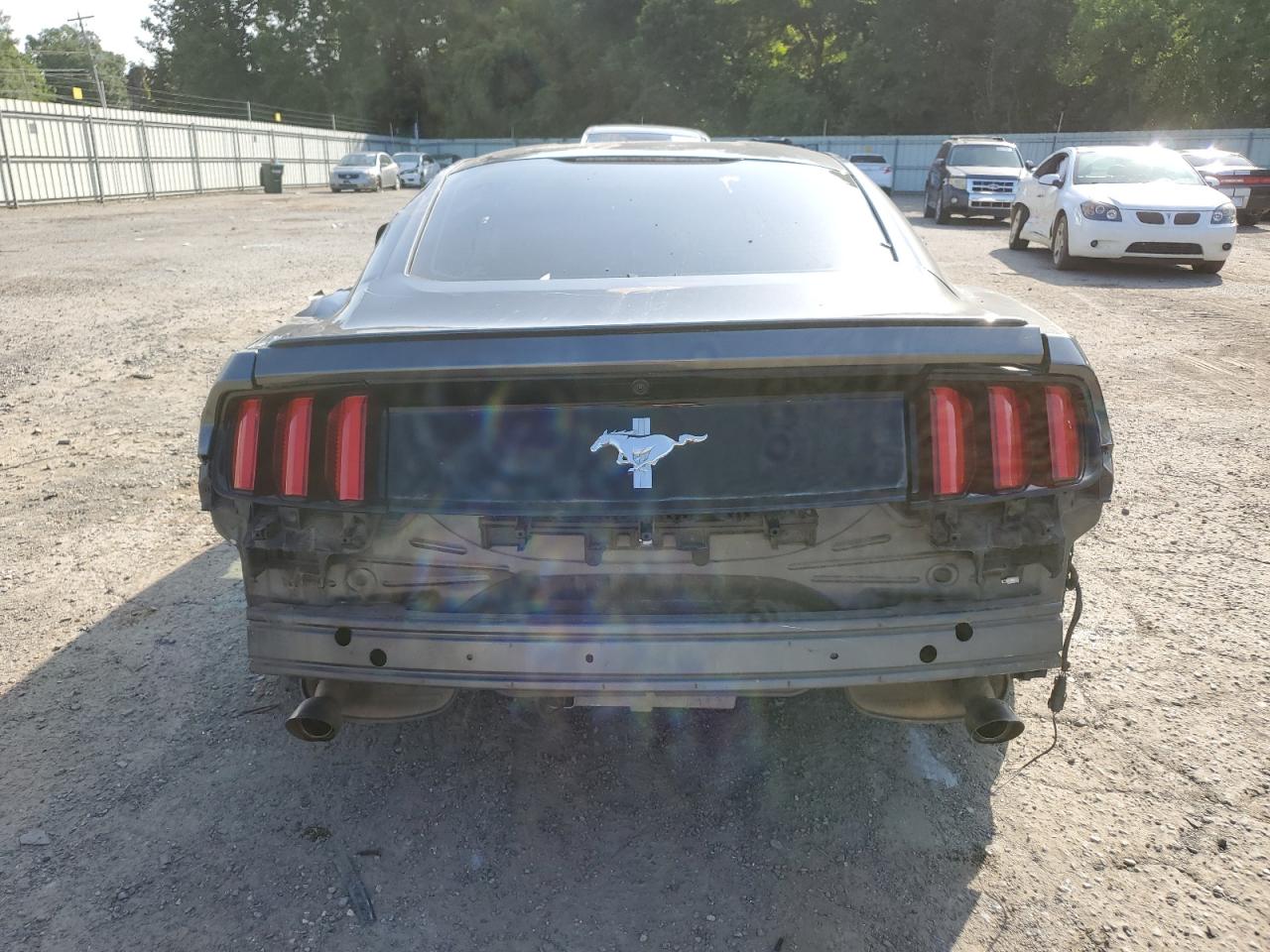 2015 Ford Mustang VIN: 1FA6P8AM0F5318014 Lot: 63496564