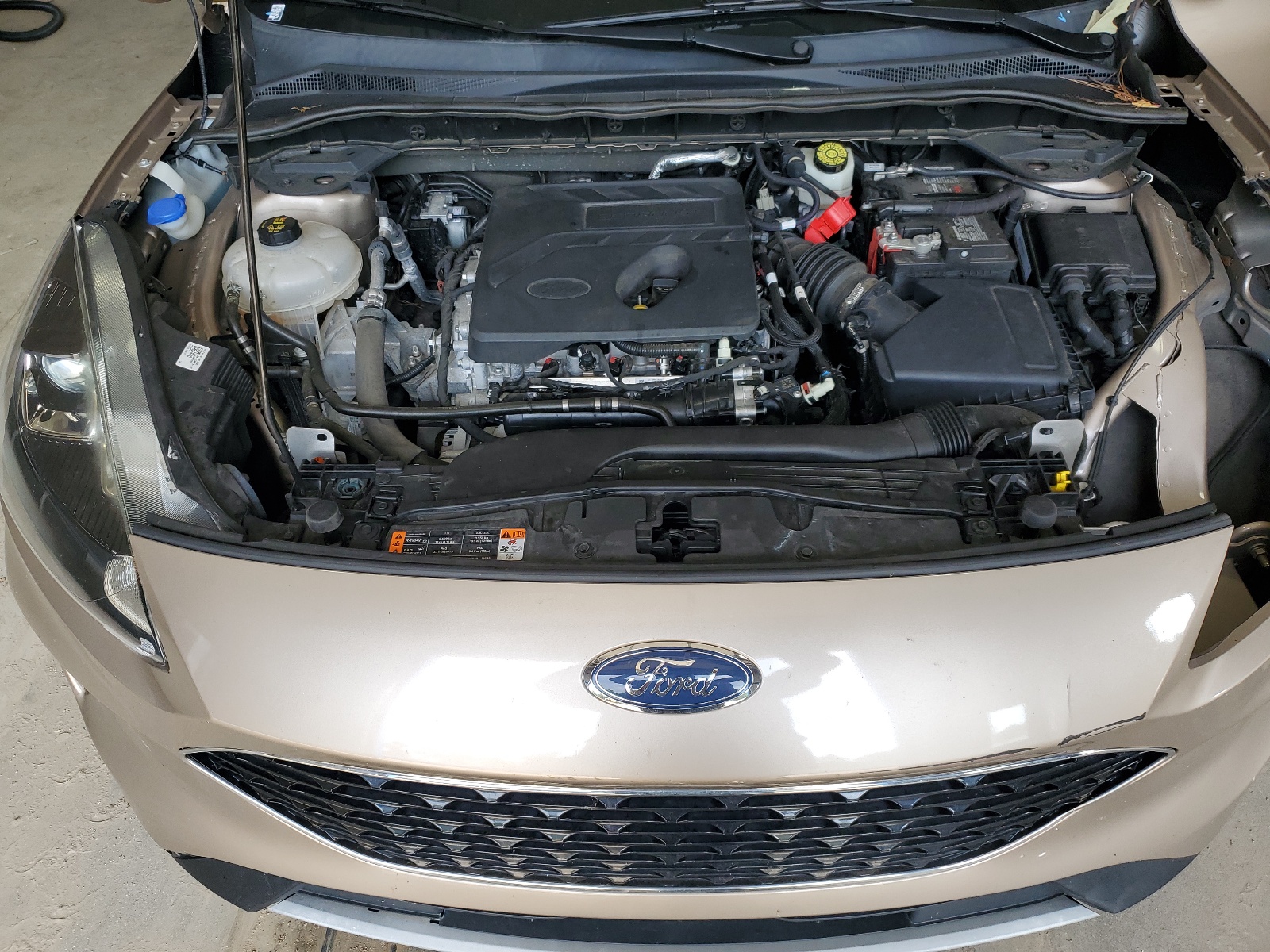 1FMCU0G64LUB58118 2020 Ford Escape Se