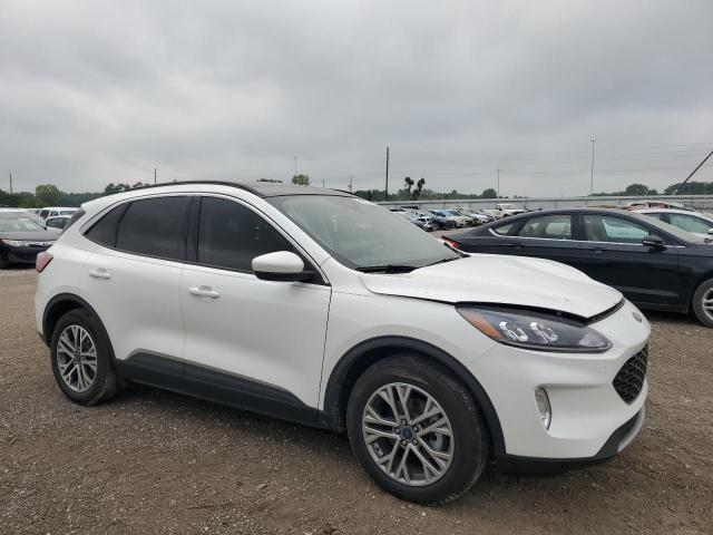  FORD ESCAPE 2022 White