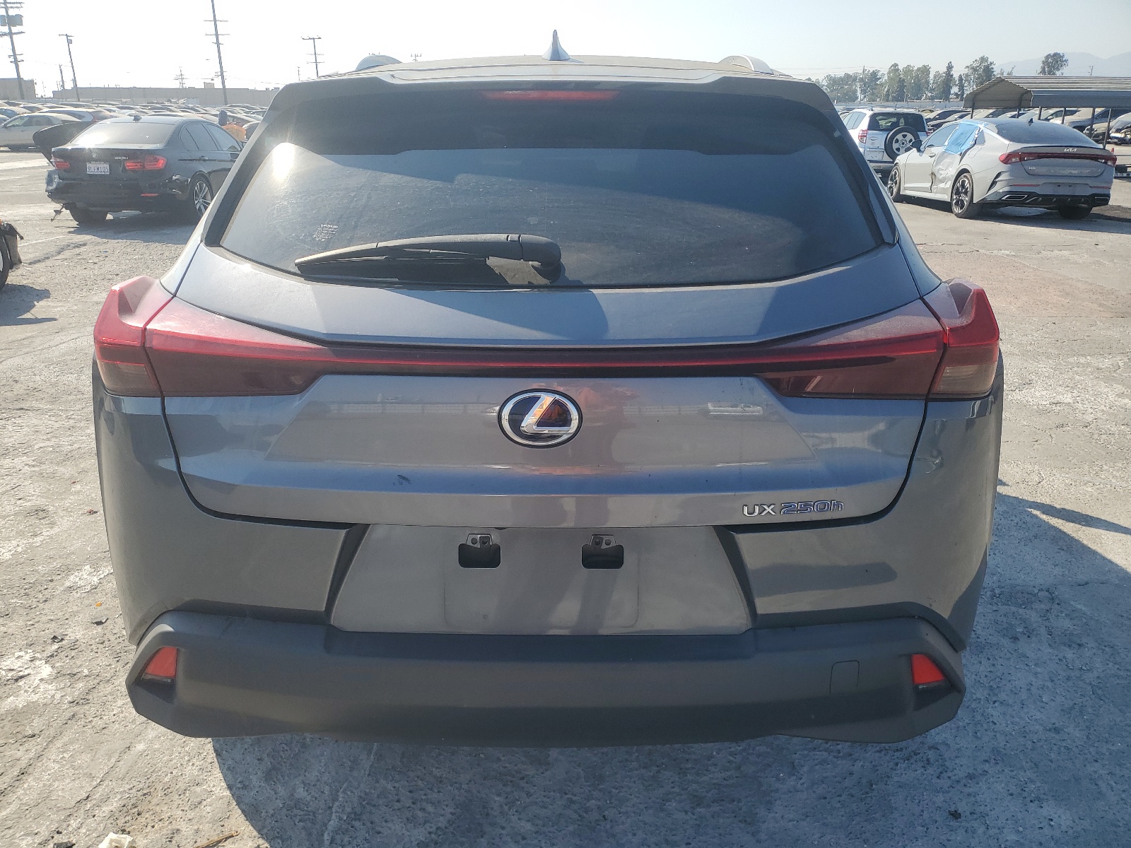 JTHX9JBHXL2032491 2020 Lexus Ux 250H