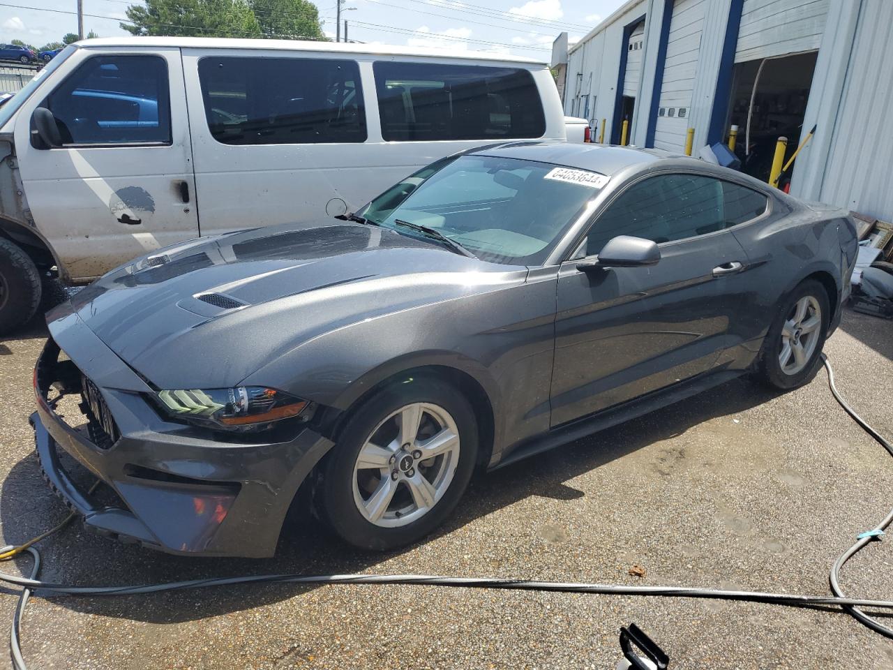 1FA6P8TH1K5112176 2019 FORD MUSTANG - Image 1