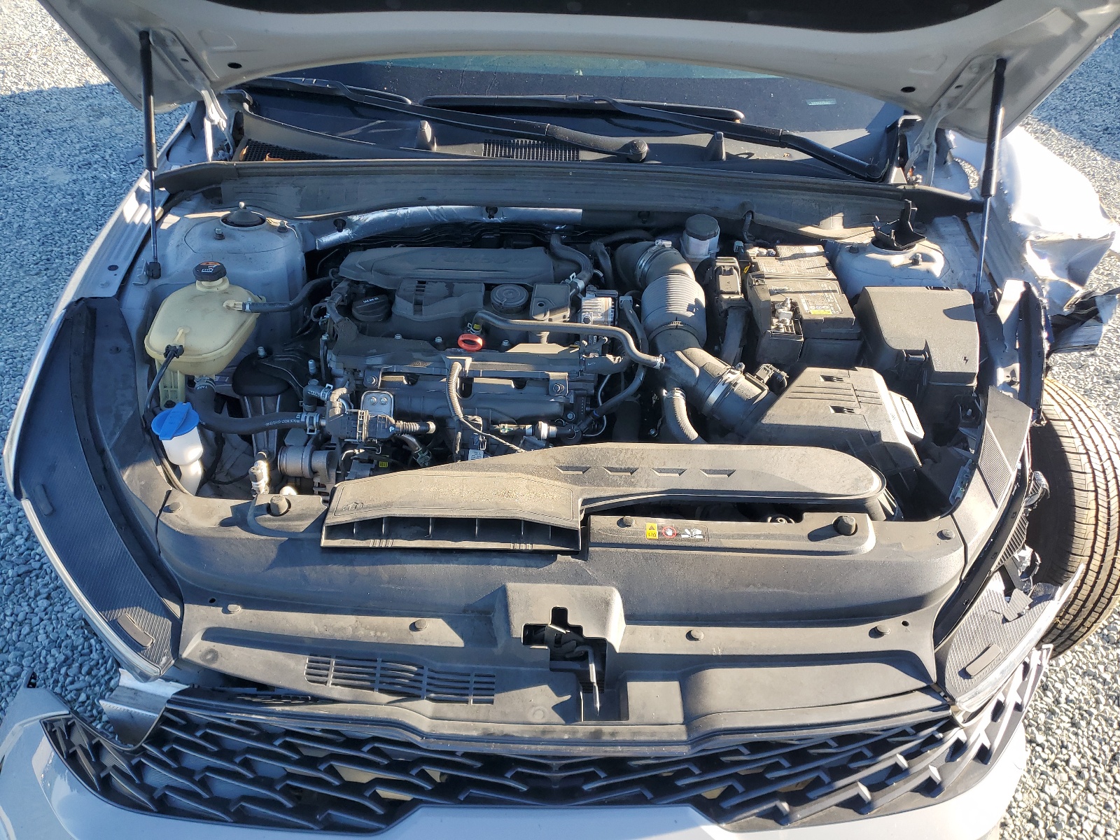 5XXG64J21PG186127 2023 Kia K5 Gt Line