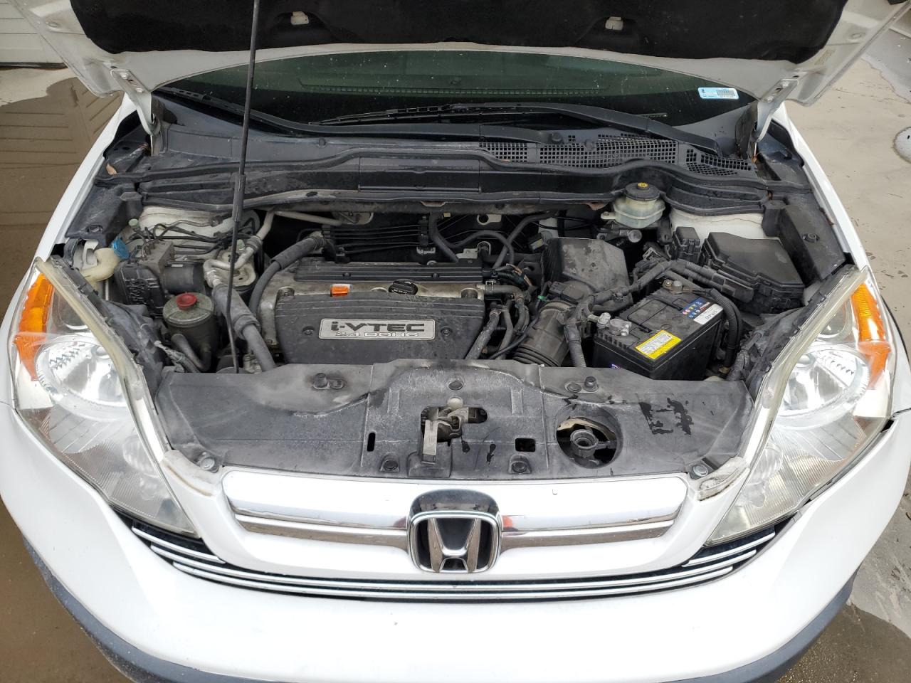 2008 Honda Cr-V Exl VIN: JHLRE387X8C020166 Lot: 62252974