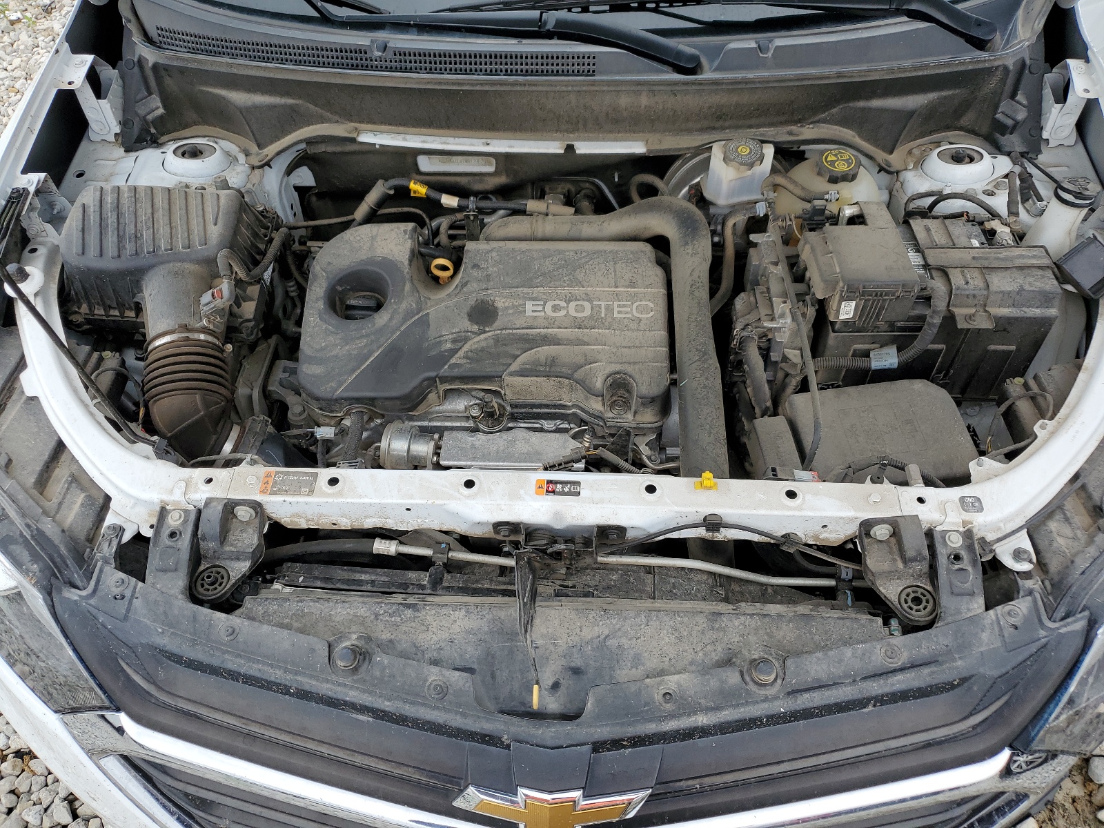 2GNAXTEV7M6139620 2021 Chevrolet Equinox Lt