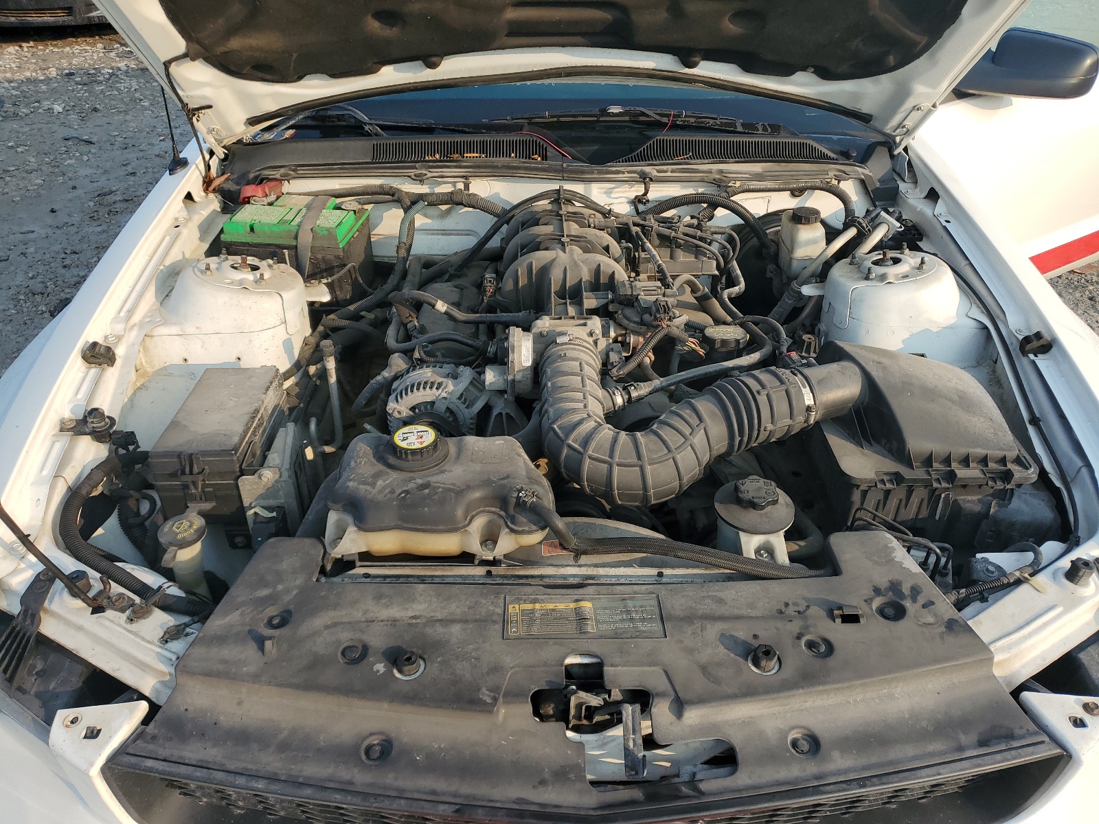 1ZVHT80N595132284 2009 Ford Mustang