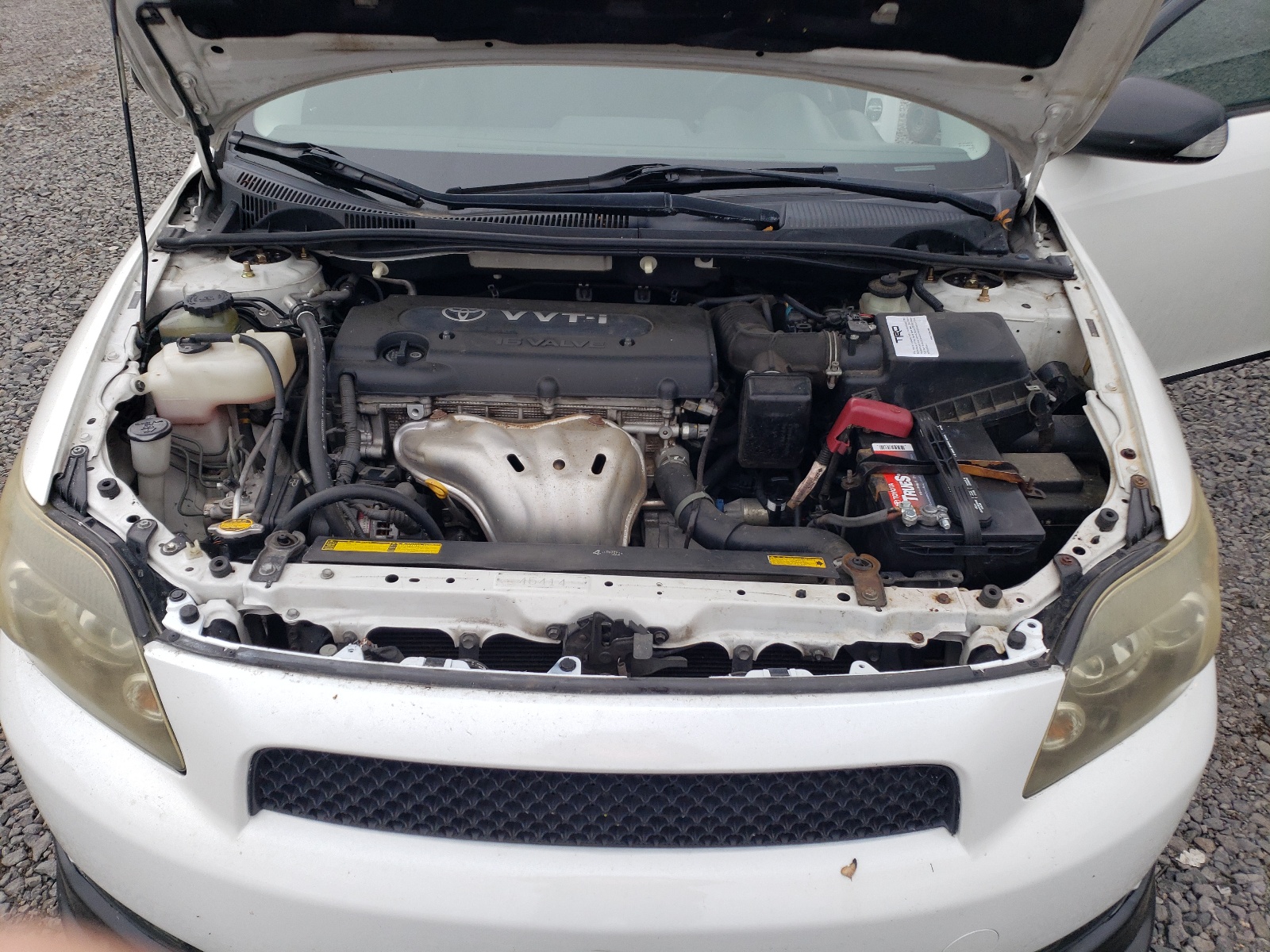 JTKDE167480261293 2008 Toyota Scion Tc