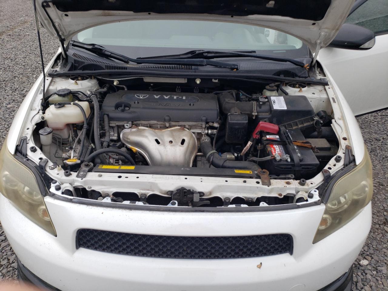 2008 Toyota Scion Tc VIN: JTKDE167480261293 Lot: 65412094