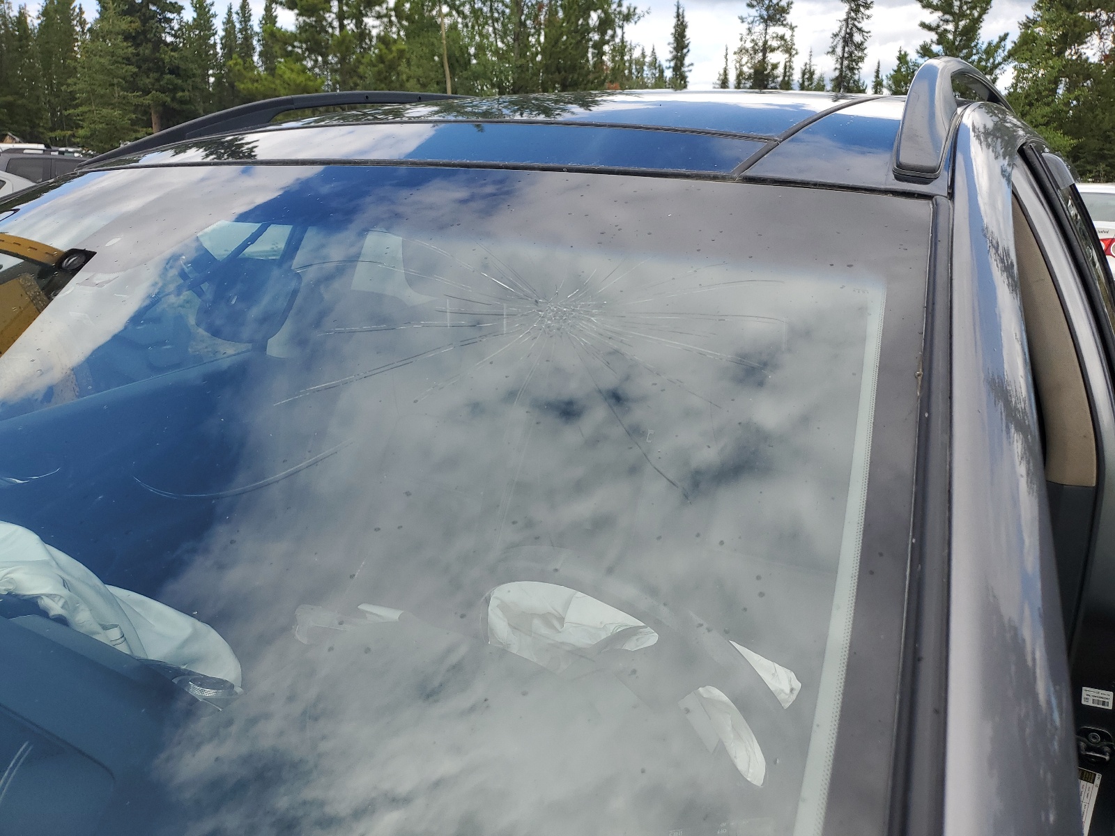 JN8AZ1MWXDW300389 2013 Nissan Murano S