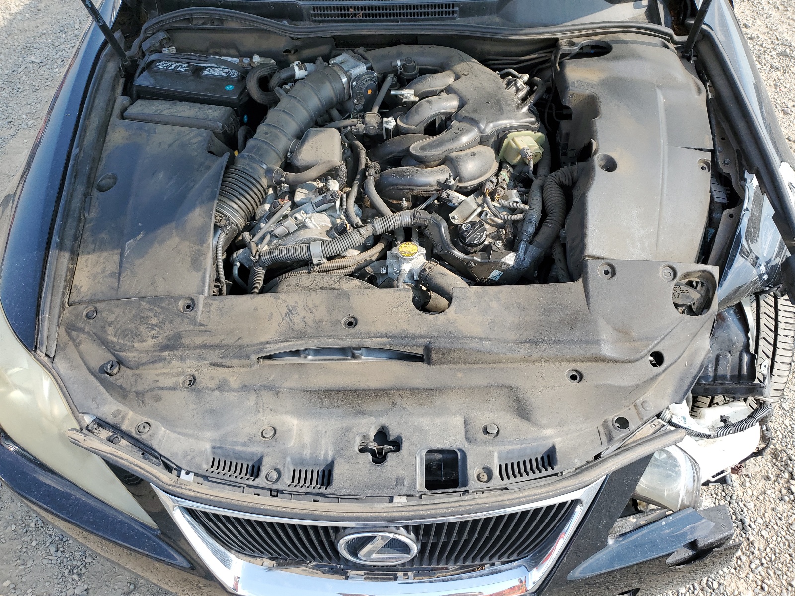 JTHBK262262019166 2006 Lexus Is 250