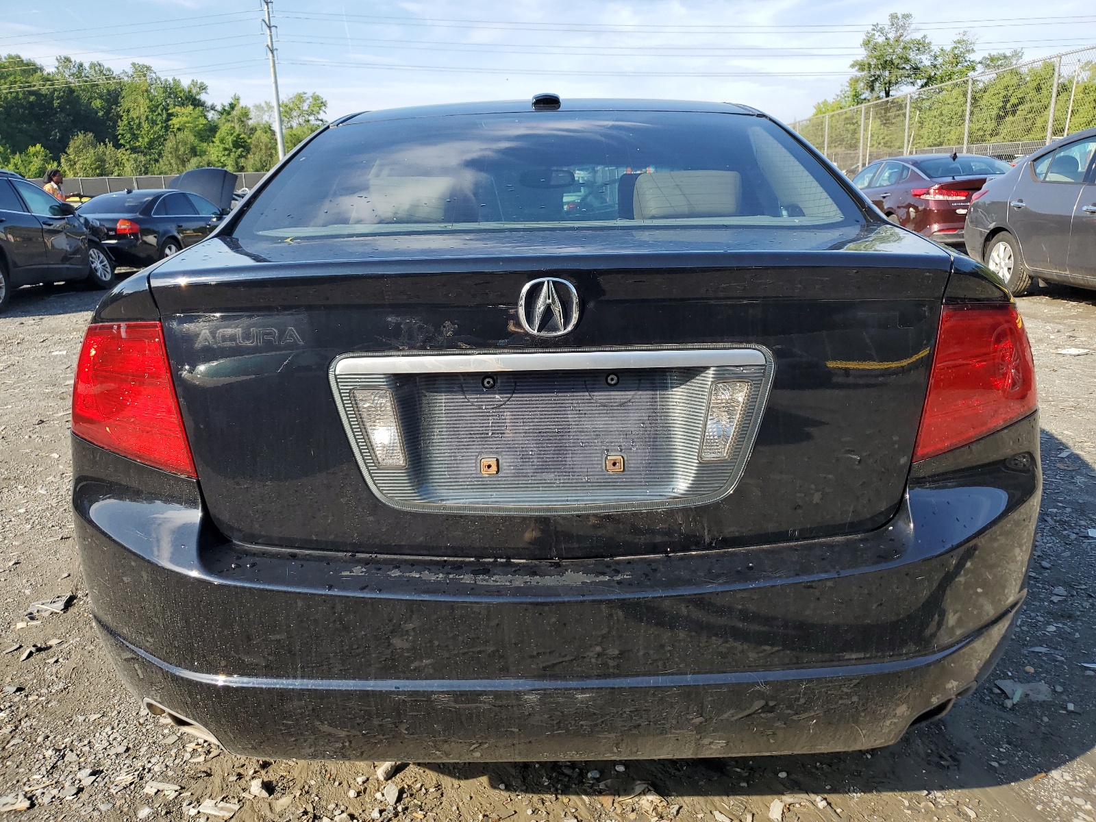 19UUA66244A016049 2004 Acura Tl