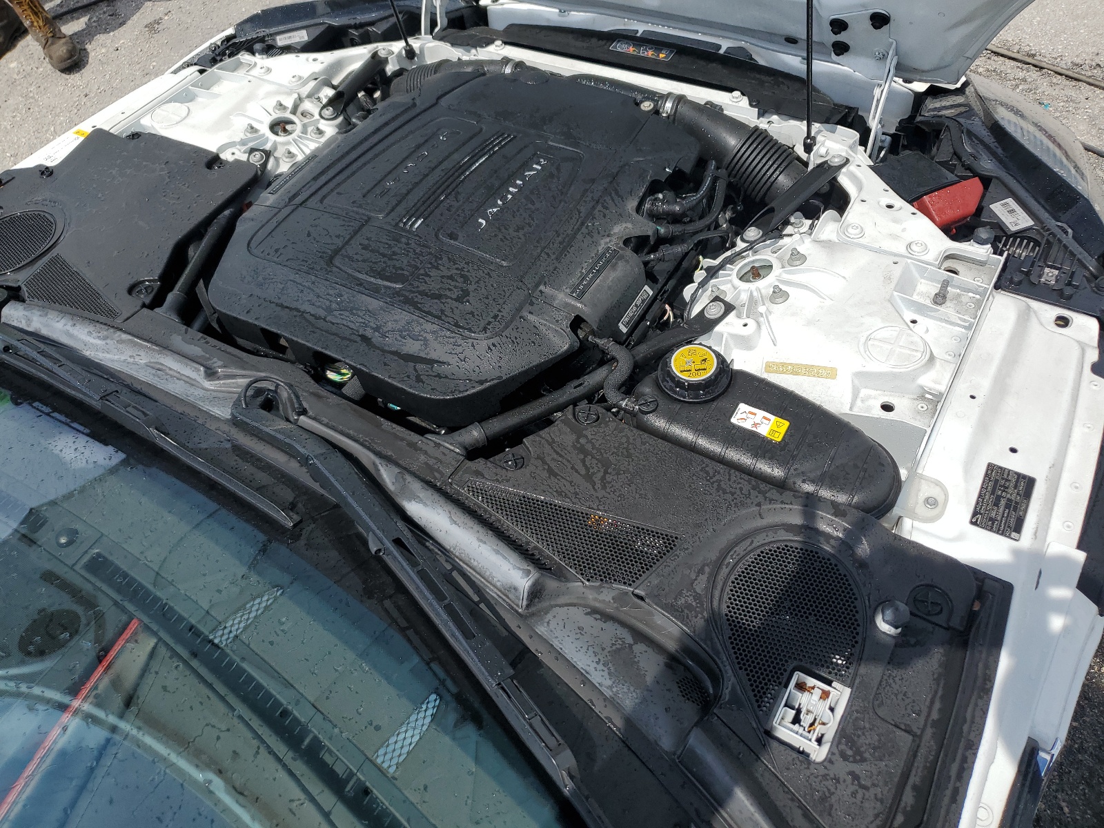 SAJDD1EV0JCK51201 2018 Jaguar F-Type