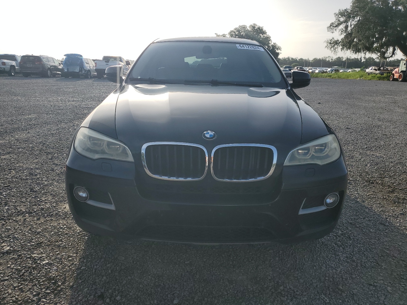 2013 BMW X6 xDrive35I vin: 5UXFG2C56DL784437