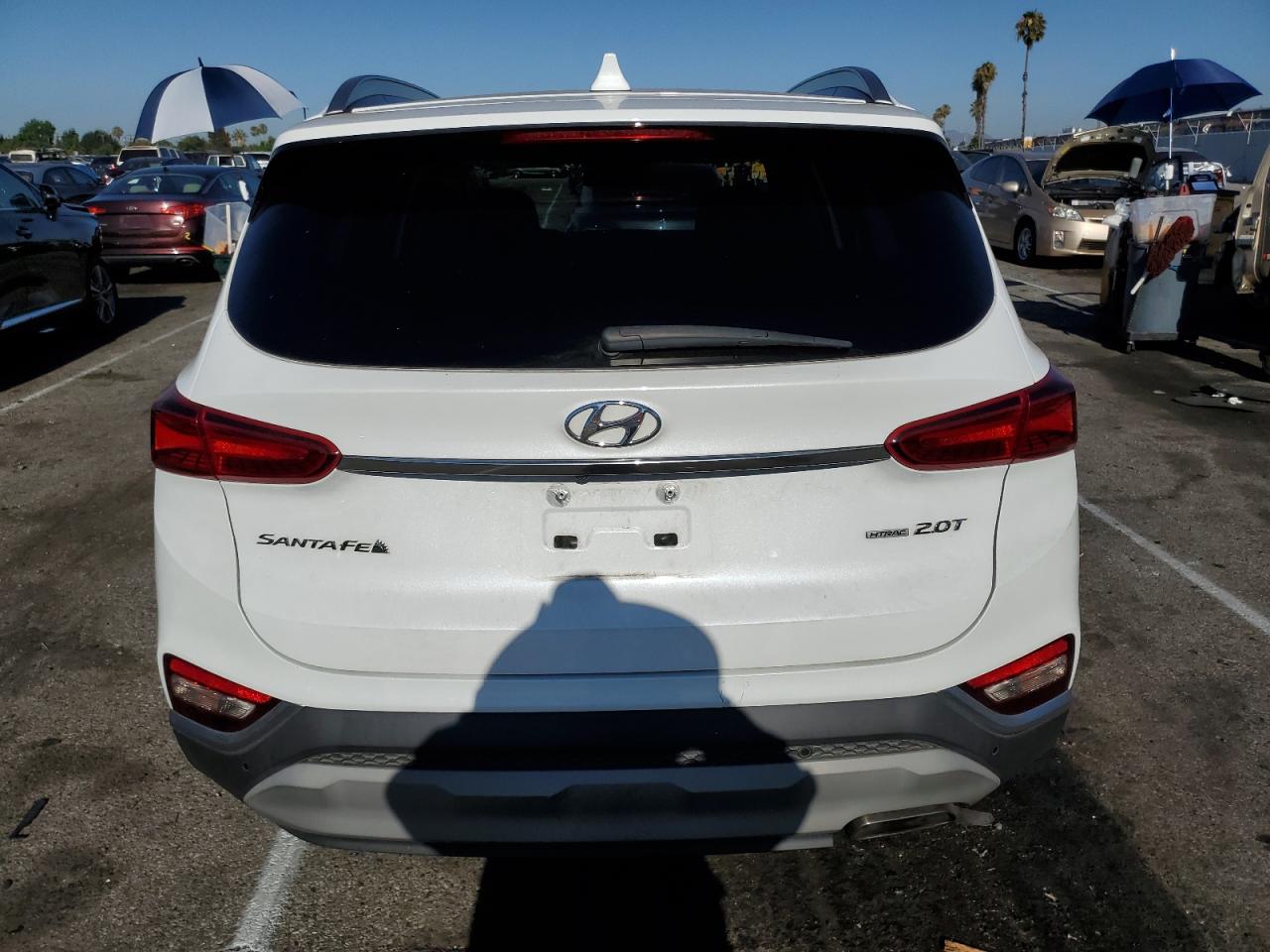 2019 Hyundai Santa Fe Limited VIN: 5NMS5CAA6KH066591 Lot: 64910104