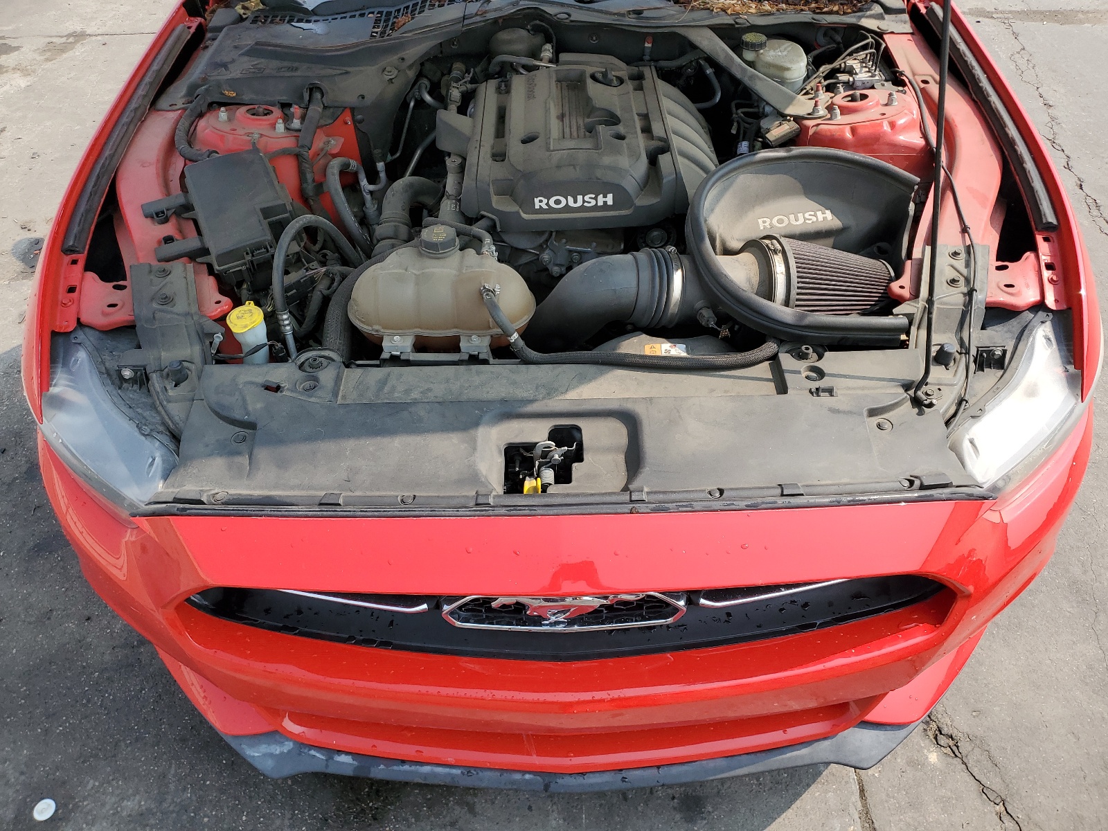 1FATP8UH8F5367253 2015 Ford Mustang