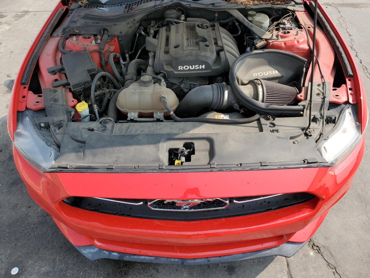 2015 Ford Mustang VIN: 1FATP8UH8F5367253 Lot: 63267304