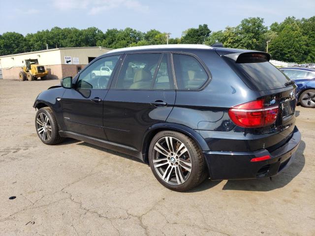 BMW X5 2013 Синий