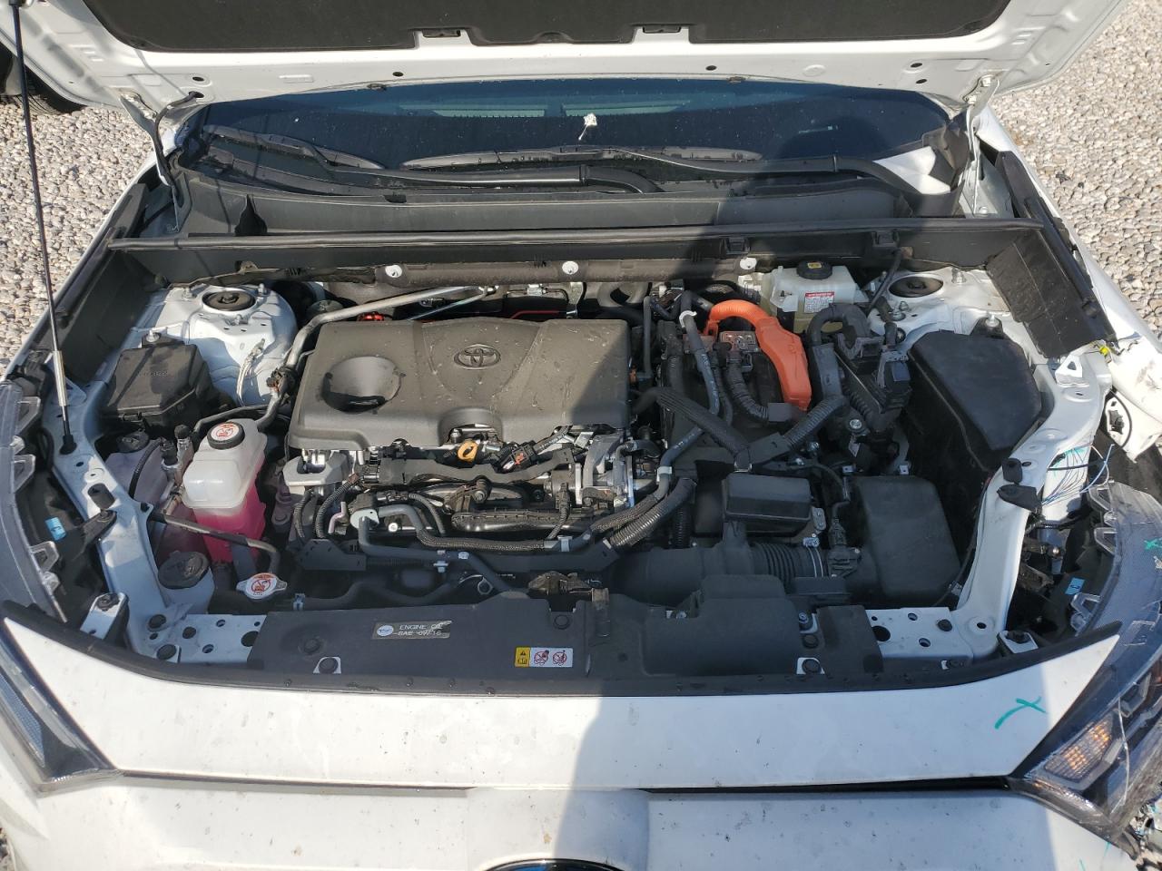 2021 Toyota Rav4 Xle VIN: 4T3RWRFV5MU035485 Lot: 64865684