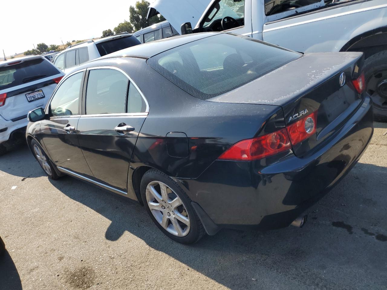 2004 Acura Tsx VIN: JH4CL96804C004462 Lot: 65055244