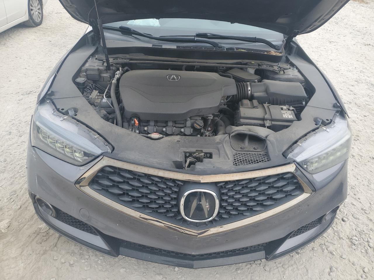 19UUB2F69KA005635 2019 Acura Tlx Technology