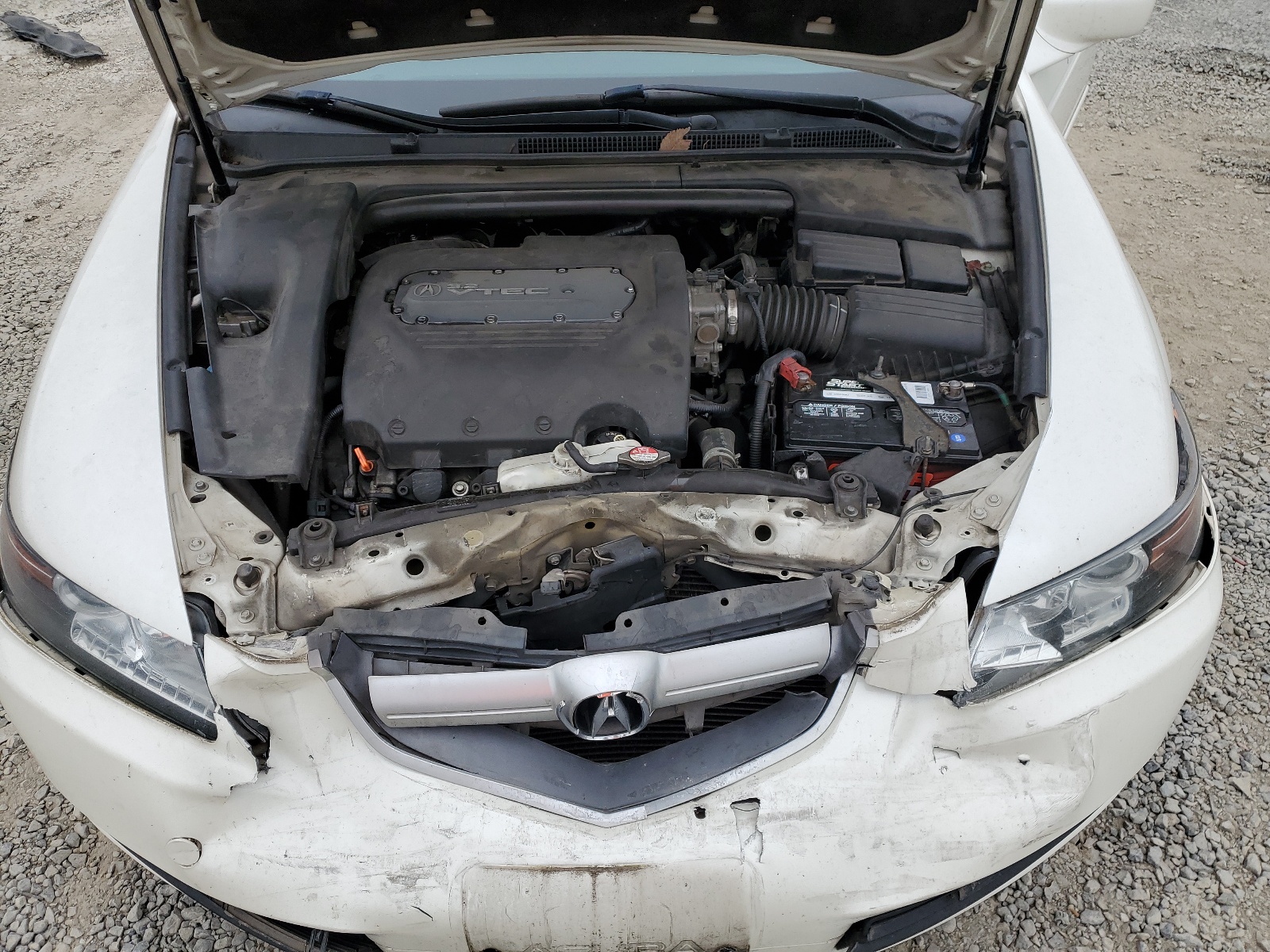 19UUA66216A031689 2006 Acura 3.2Tl