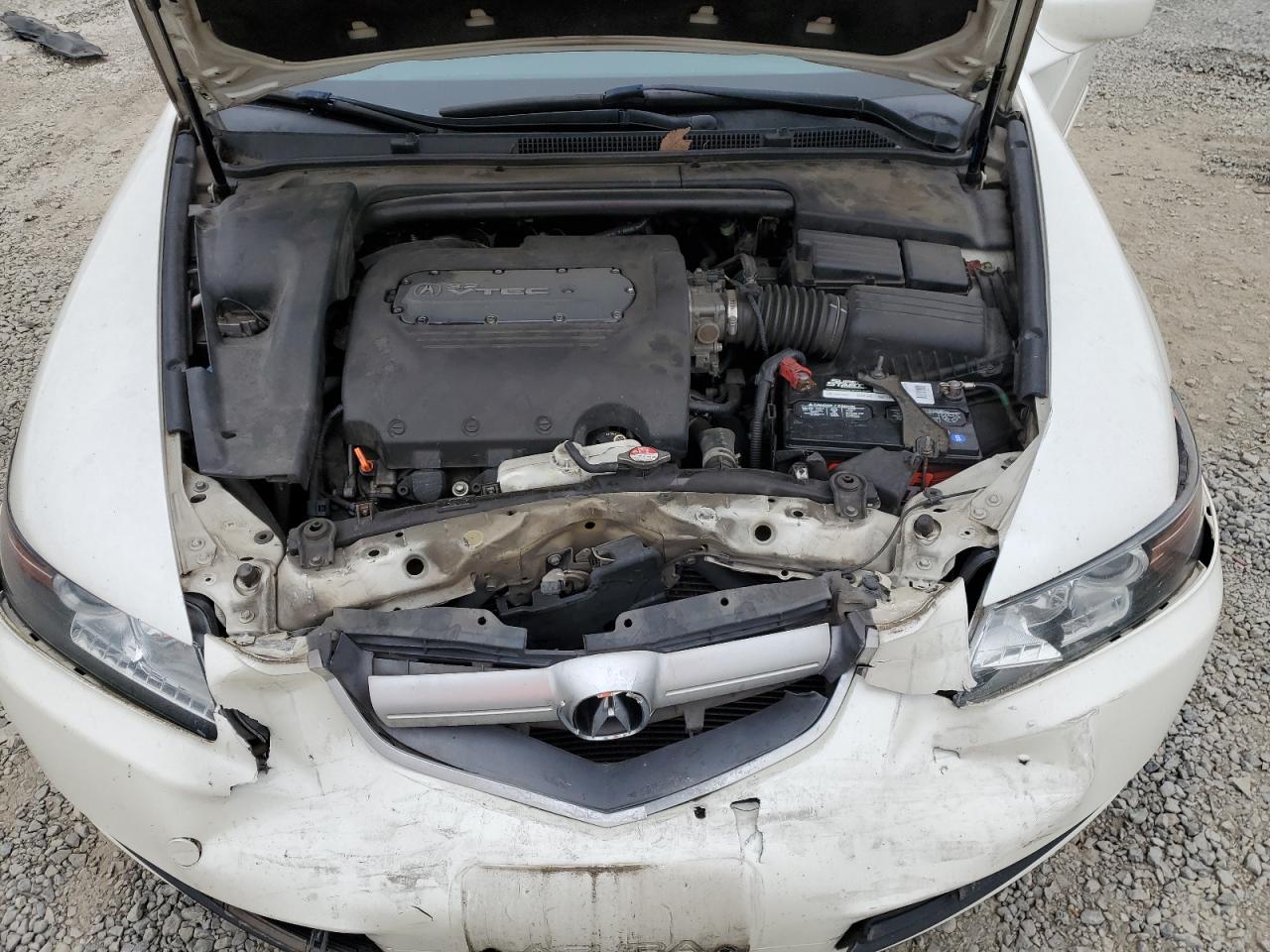 2006 Acura 3.2Tl VIN: 19UUA66216A031689 Lot: 64197574