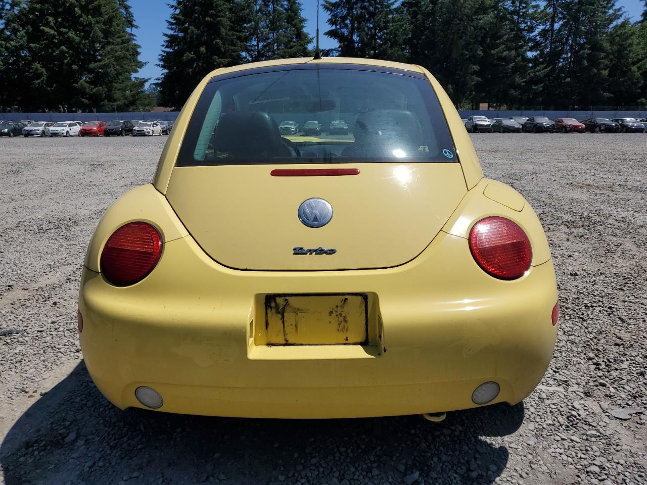 2003 Volkswagen New Beetle Glx VIN: 3VWDD21C33M435393 Lot: 62076054