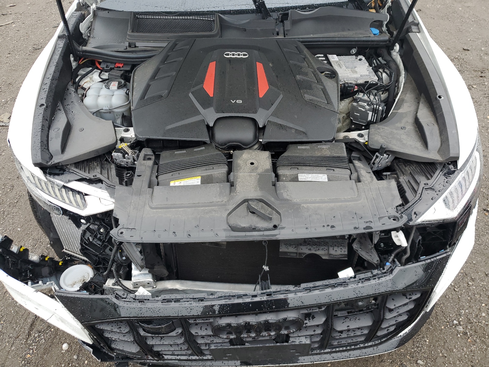 WA1AWBF12PD048398 2023 Audi Sq8 Premium Plus