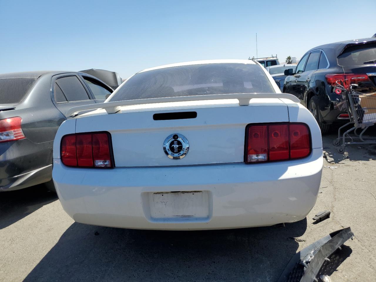 2006 Ford Mustang VIN: 1ZVFT80N465182774 Lot: 64307414