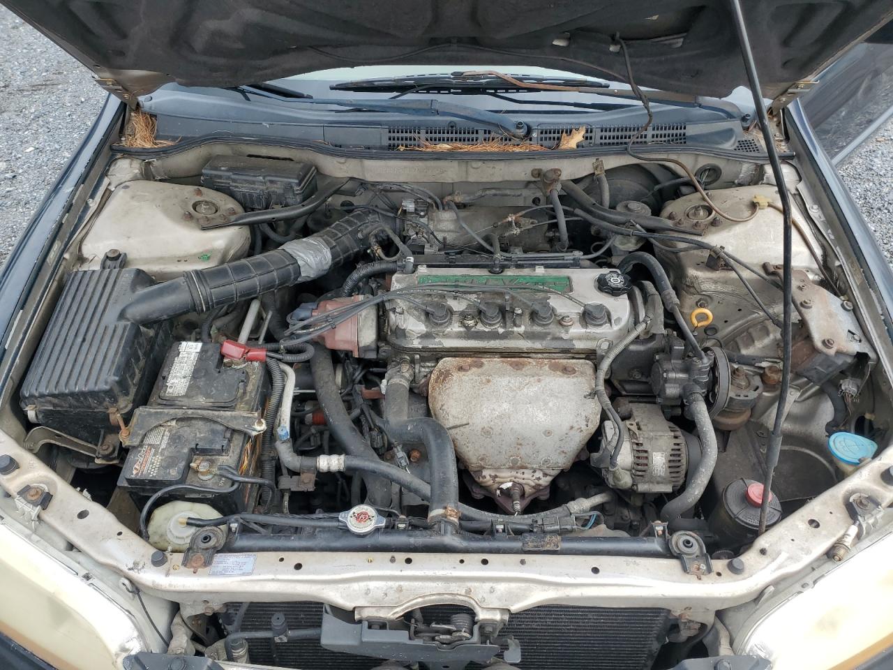 1999 Honda Accord Lx VIN: 1HGCG6656XA075046 Lot: 63262364