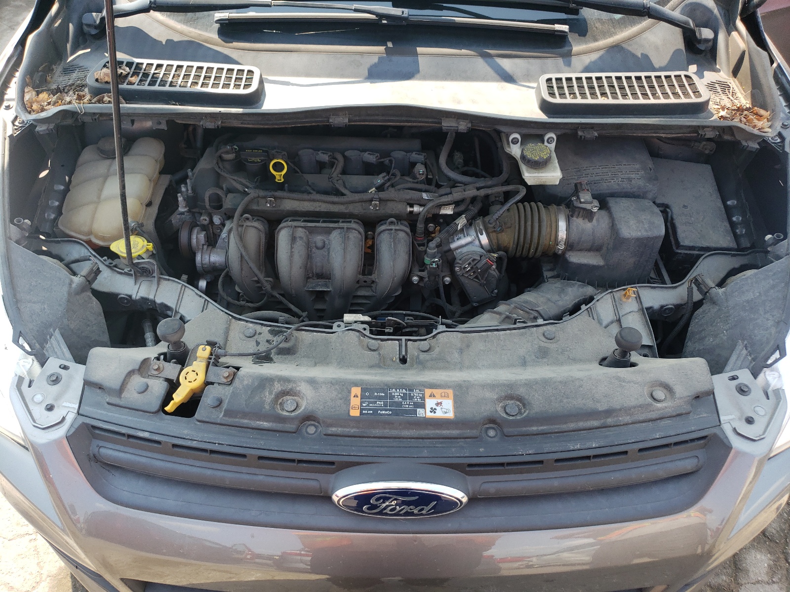 1FMCU0F72EUA98210 2014 Ford Escape S