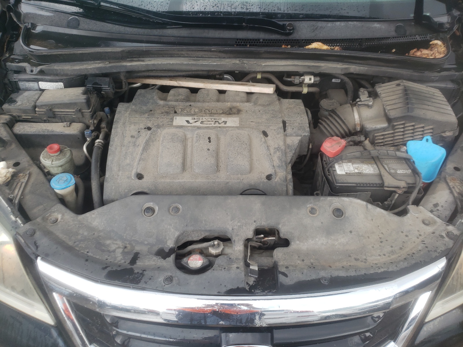 5FNRL38629B009385 2009 Honda Odyssey Exl