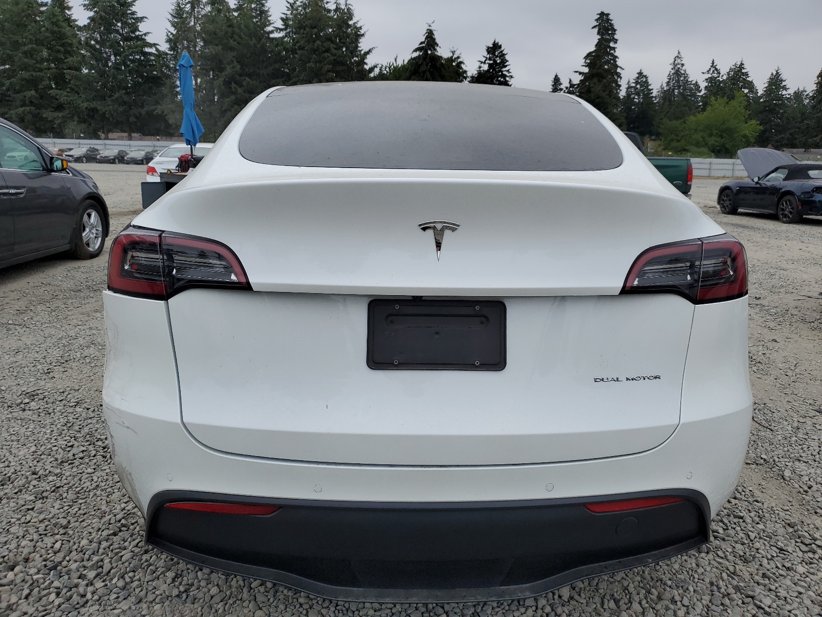 5YJYGDEE5MF229212 2021 Tesla Model Y