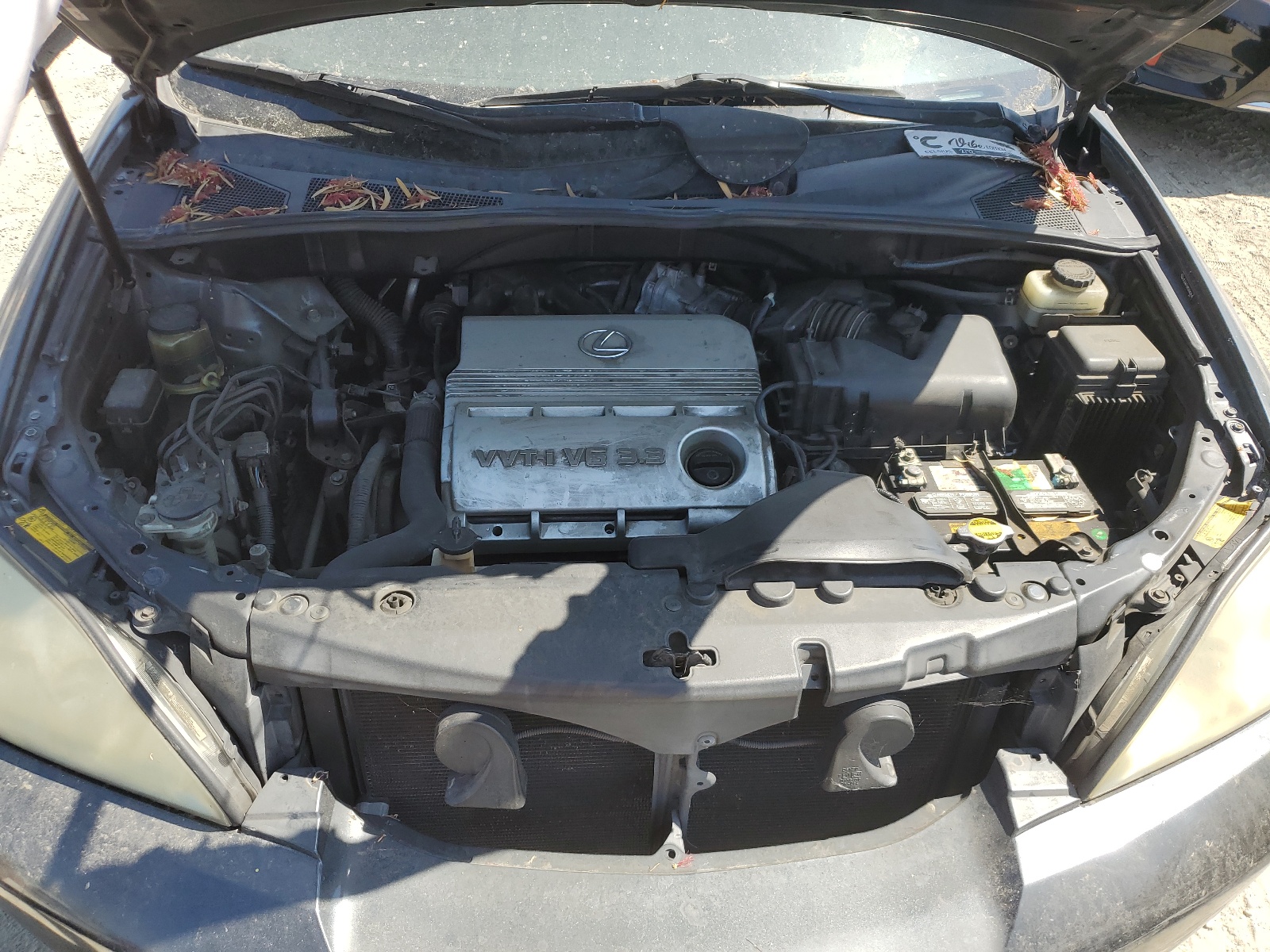 JTJGA31UX50048494 2005 Lexus Rx 330