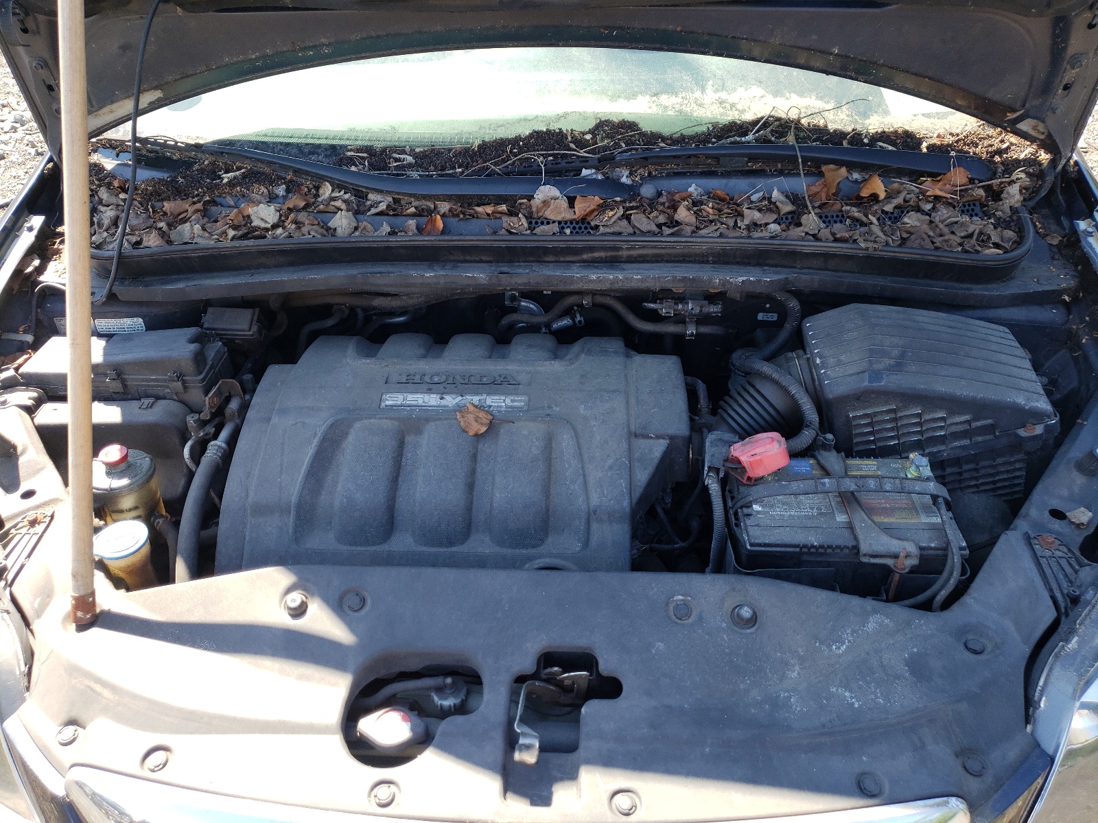 5FNRL38696B007788 2006 Honda Odyssey Exl